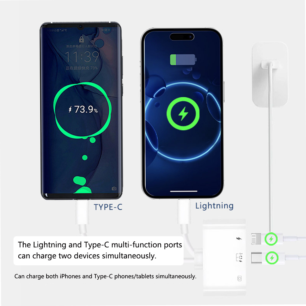 2 in 1 Lightning Type C to USB - Wired Earphone Lightning review and price